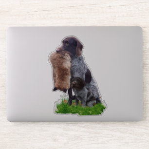 Adesivo Deutsch Drahthaar Sticker