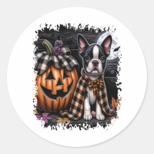 Adesivo Dia das Bruxas de Boston Terrier Dog
