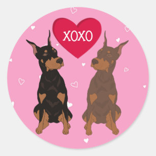 Adesivo Dia de os namorados Doberman Pinscher