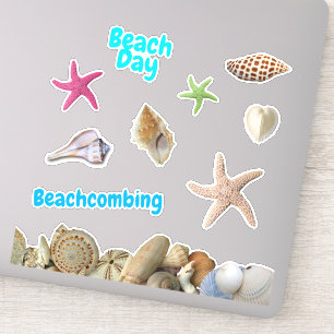 Adesivo Dia de Praia Conchas Estrelas-do-Mar Scrapbooking 