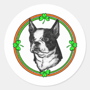 Adesivo Dia de São Patrício de Boston Terrier