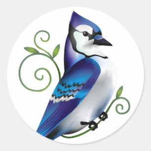 Adesivo Dia do Bluejay