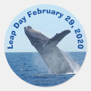 Adesivo Dia do Salto 29 de fevereiro de 2020