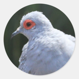 Adesivo Diamond Dove in Spotlight