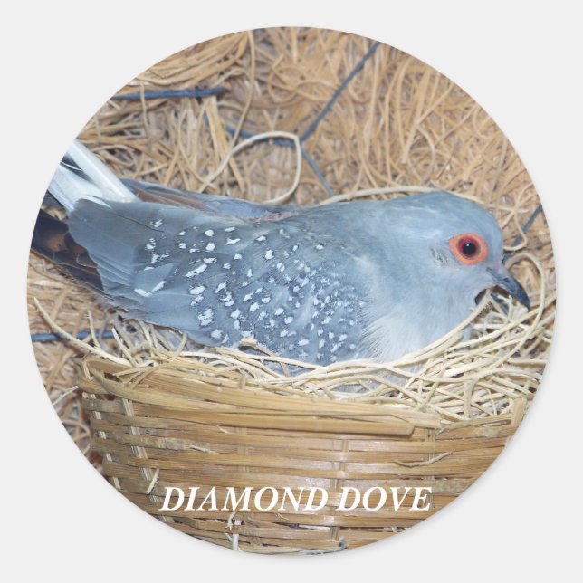 ADESIVO DIAMOND DOVE ON NEST STICKER (Frente)