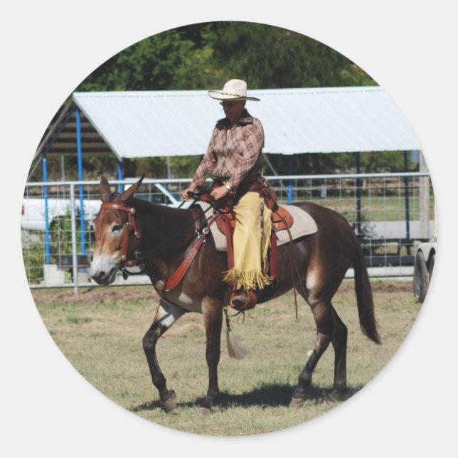 Adesivo dias de mula de ozarca (Frente)