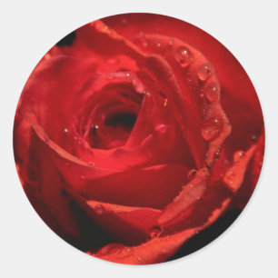 Adesivo Dias de os namorados