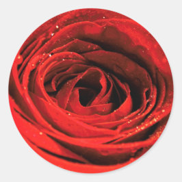 Adesivo Dias de os namorados da rosa vermelha