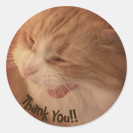 Adesivo Diego, Gato, Obrigado, Viciados