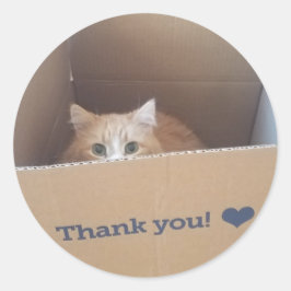 Adesivo Diego, o Gato Obrigado Sticker