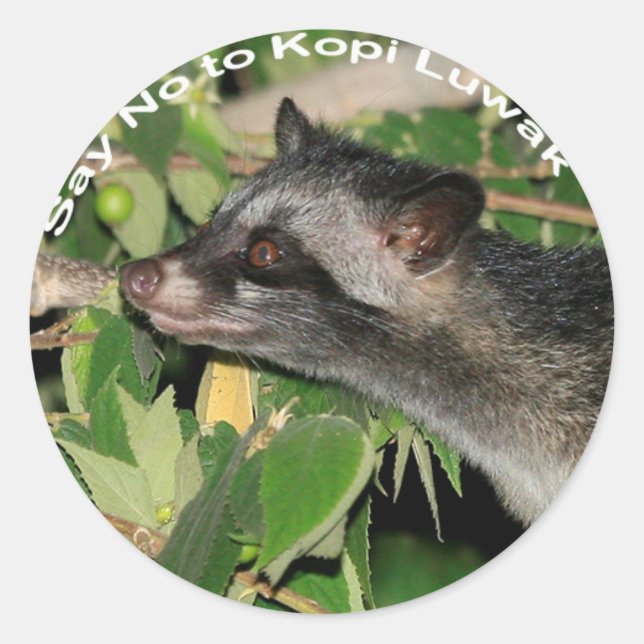 Adesivo Diga não ao Kopi Luwak Sticker (Frente)