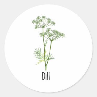 Adesivo Dill Spices Herb