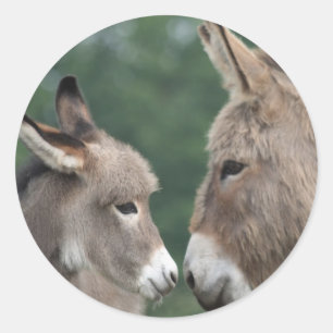 Adesivo Dinky Donkey