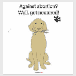Adesivo Direitos do aborto humano