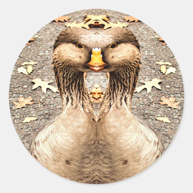 ADESIVO DIVERSÃO ANIMAL (Frente)