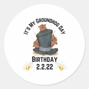 Adesivo Diversão É Meu Aniversário Do Dia Da Marmota 2.2.2