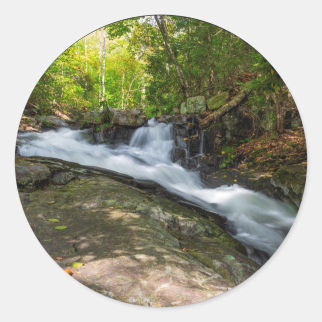 Adesivo Dividir Cai na Execução do Primavera de Areia (Frente)