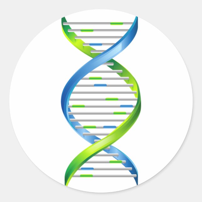 ADESIVO DNA (Frente)