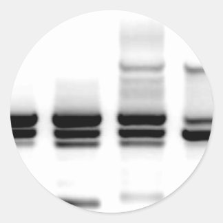 Adesivo DNA Gel