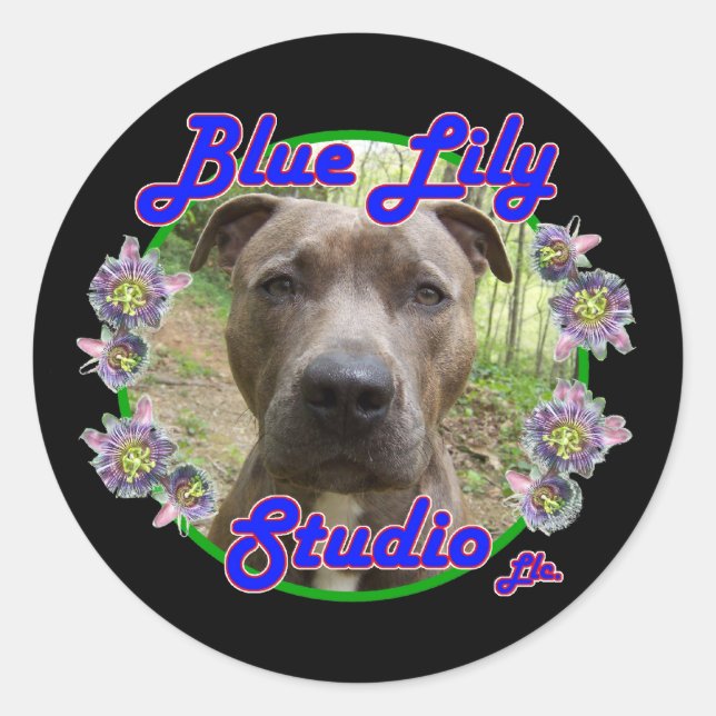 Adesivo do Blue Lily Studio (Frente)