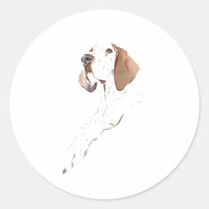 Adesivo do Cão de Ponteiro Inglês
