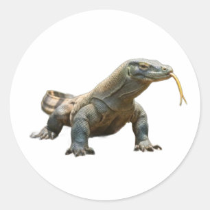 Adesivo do Dragão de Komodo Antigo Patrimônio da I
