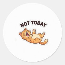 Adesivo do Gato Mal-Humorado Divertido 'Não Hoje!'