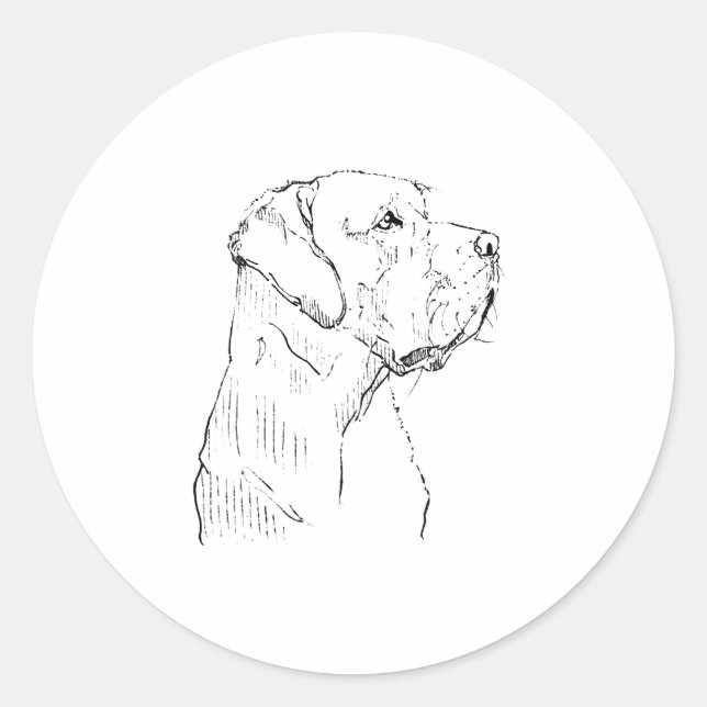 Adesivo do Labrador Retriever (Frente)