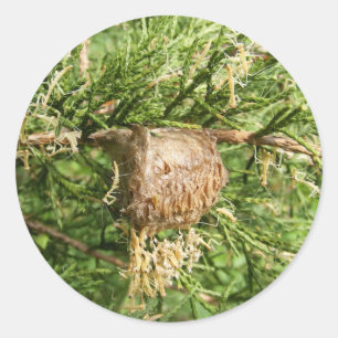 Adesivo do Mantis ~ Emergente