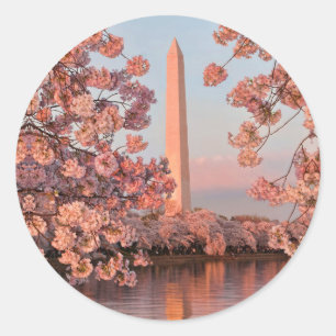 Adesivo do Monumento a Washington e Flores de Cere