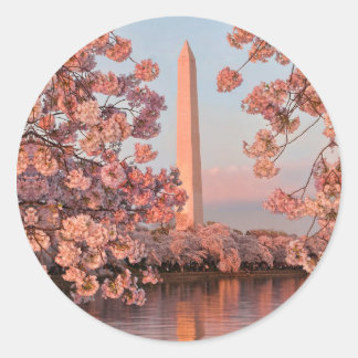 Adesivo do Monumento a Washington e Flores de Cere