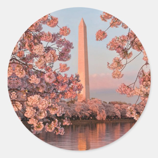 Adesivo do Monumento a Washington e Flores de Cere (Frente)