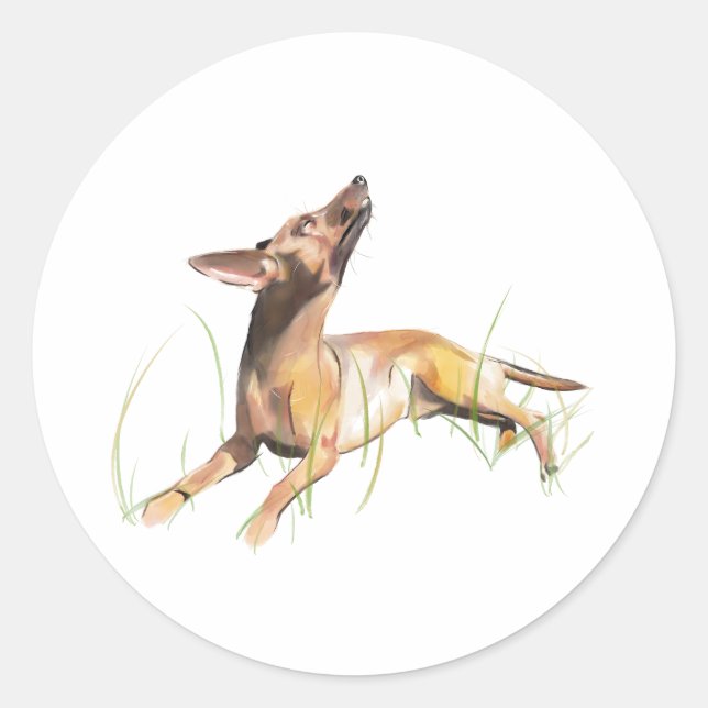 Adesivo do Pinscher Miniatura (Frente)