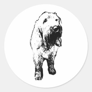 Adesivo do Spinone Italiano – Cão em Pé Ousado