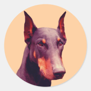 Adesivo Doberman Face Dog