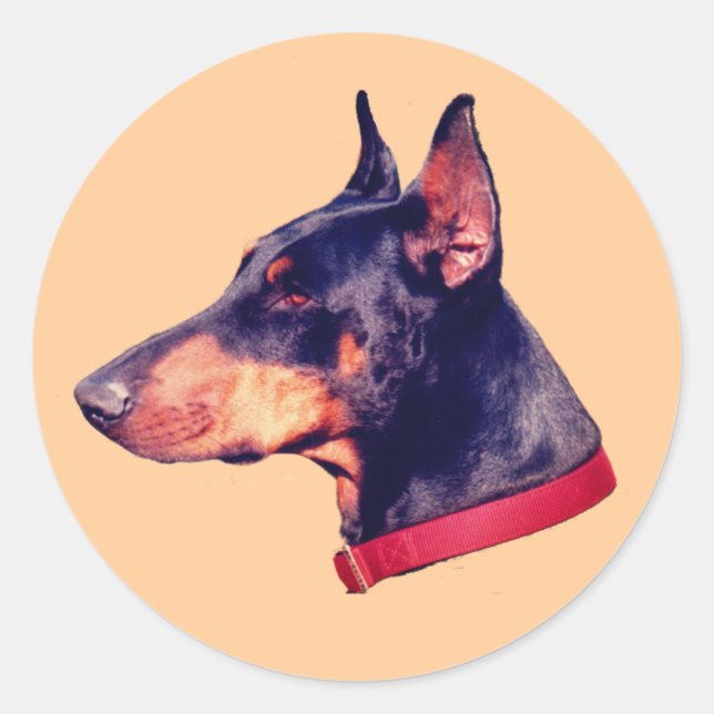 Adesivo Doberman Pinscher Face Dog (Frente)