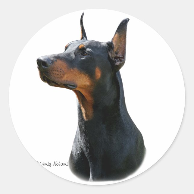 Adesivo Dobermann Pinscher cabeça-preta Sticker (Frente)