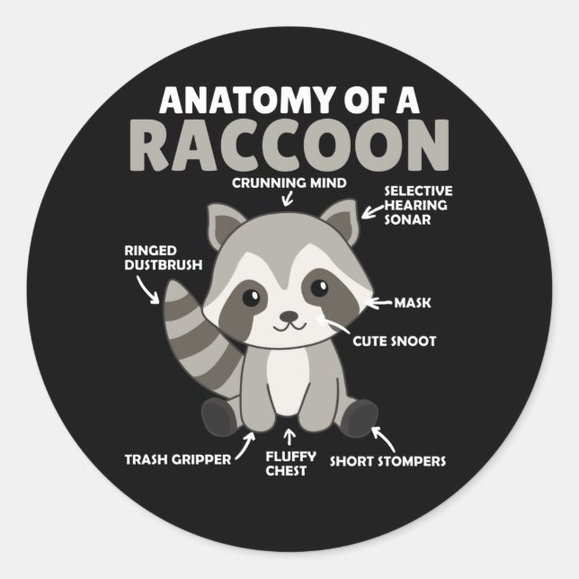 Adesivo Doce Raccoon Explicação Anatomia De Um Raccoon (Frente)
