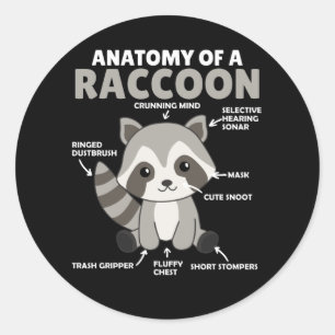 Adesivo Doce Raccoon Explicação Anatomia De Um Raccoon