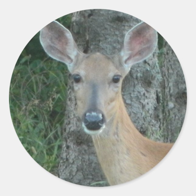 Adesivo Doe Eyes Beauful Deer Whitetail Scrapbooking (Frente)