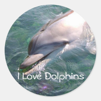 Adesivo Dofin School Teacher Reward Sticker