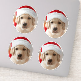 Adesivo Dog Face Photo Custom Cut out