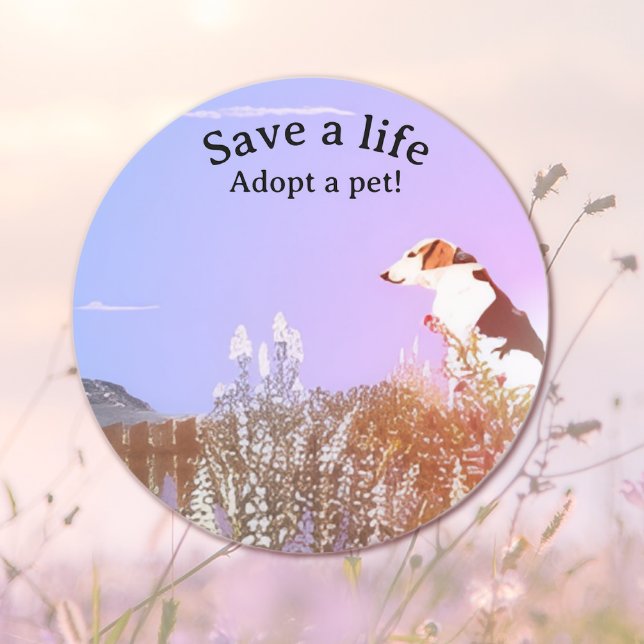 Adesivo Dog Waiting for his Family (Criador carregado)