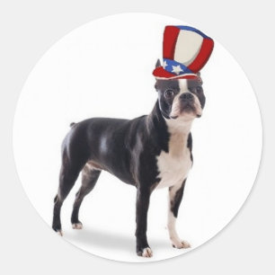 Adesivo Dogs~Original Ditzy Sticker~Boston Terrier