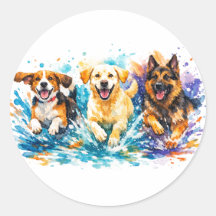 Dogs Splashing