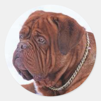 Adesivo Dogue De Bordeaux