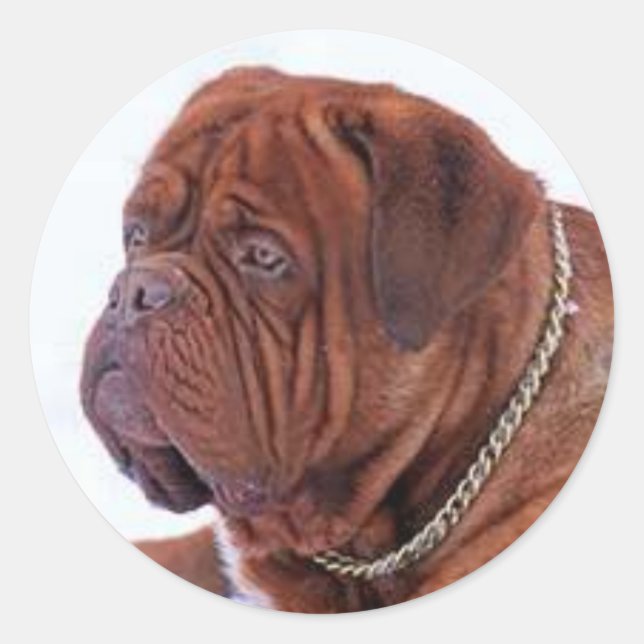 Adesivo Dogue De Bordeaux (Frente)