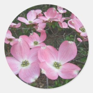Adesivo Dogwood cor-de-rosa