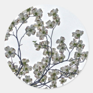 Adesivo Dogwood Flor Branco