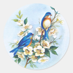 Adesivo Dois Bluebirds